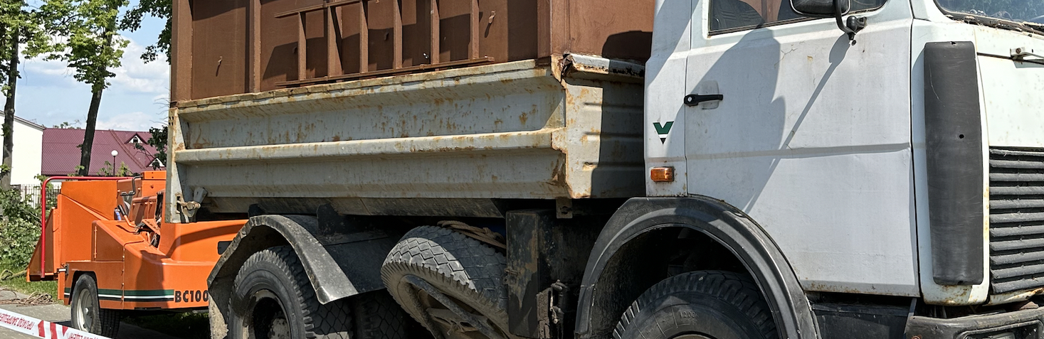 Профессиональное удаление деревьев в Беларуси Сруб дерева бензопилой